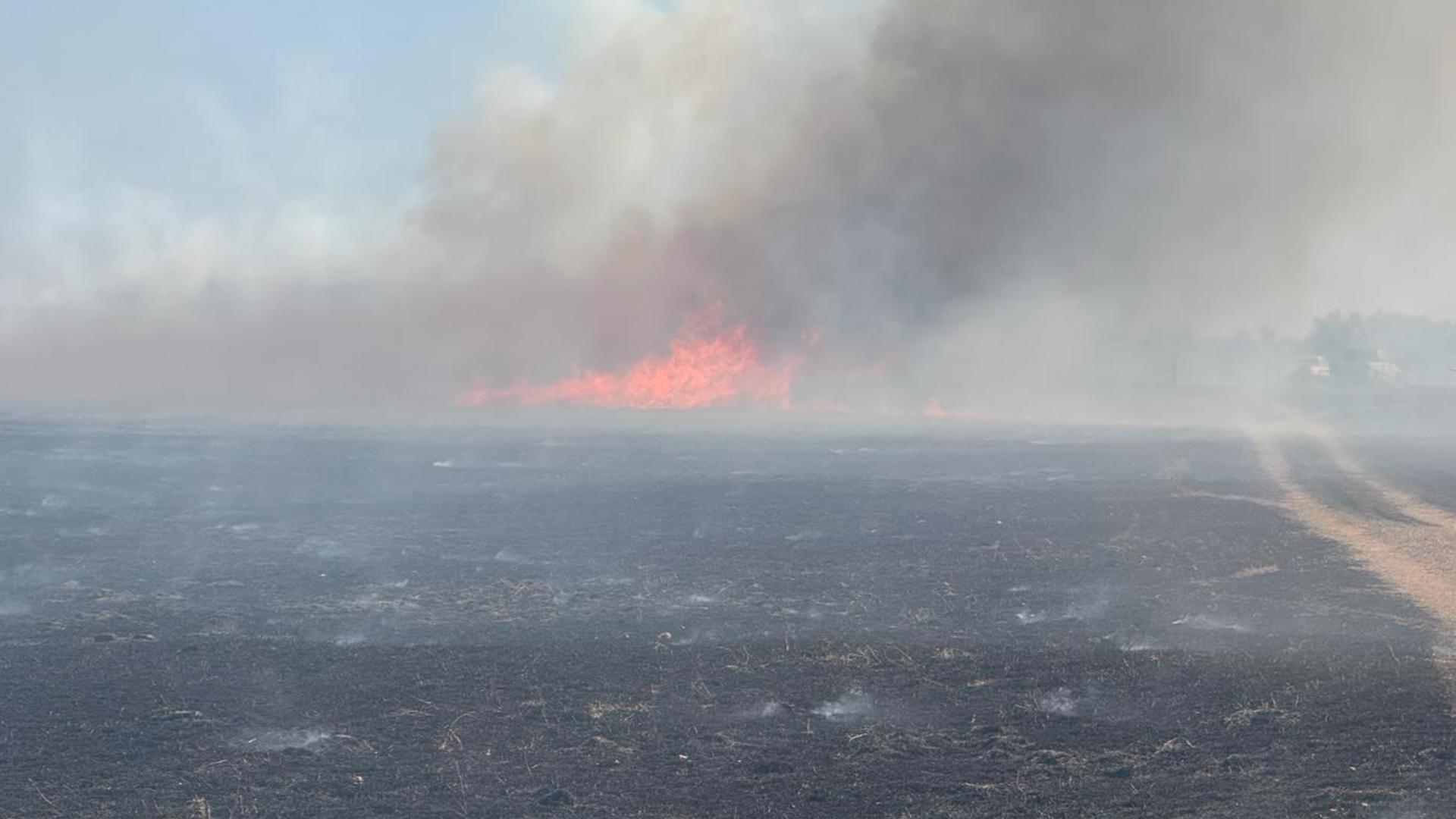 Crews contain fire from 'out of control' prescribed burn in Burnet ...