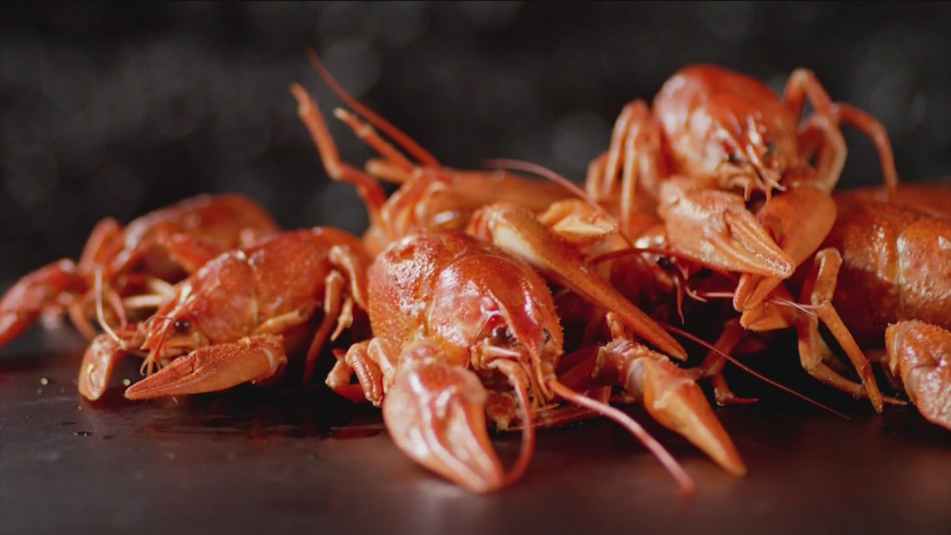 Crawfish prices expected to drop in 2025