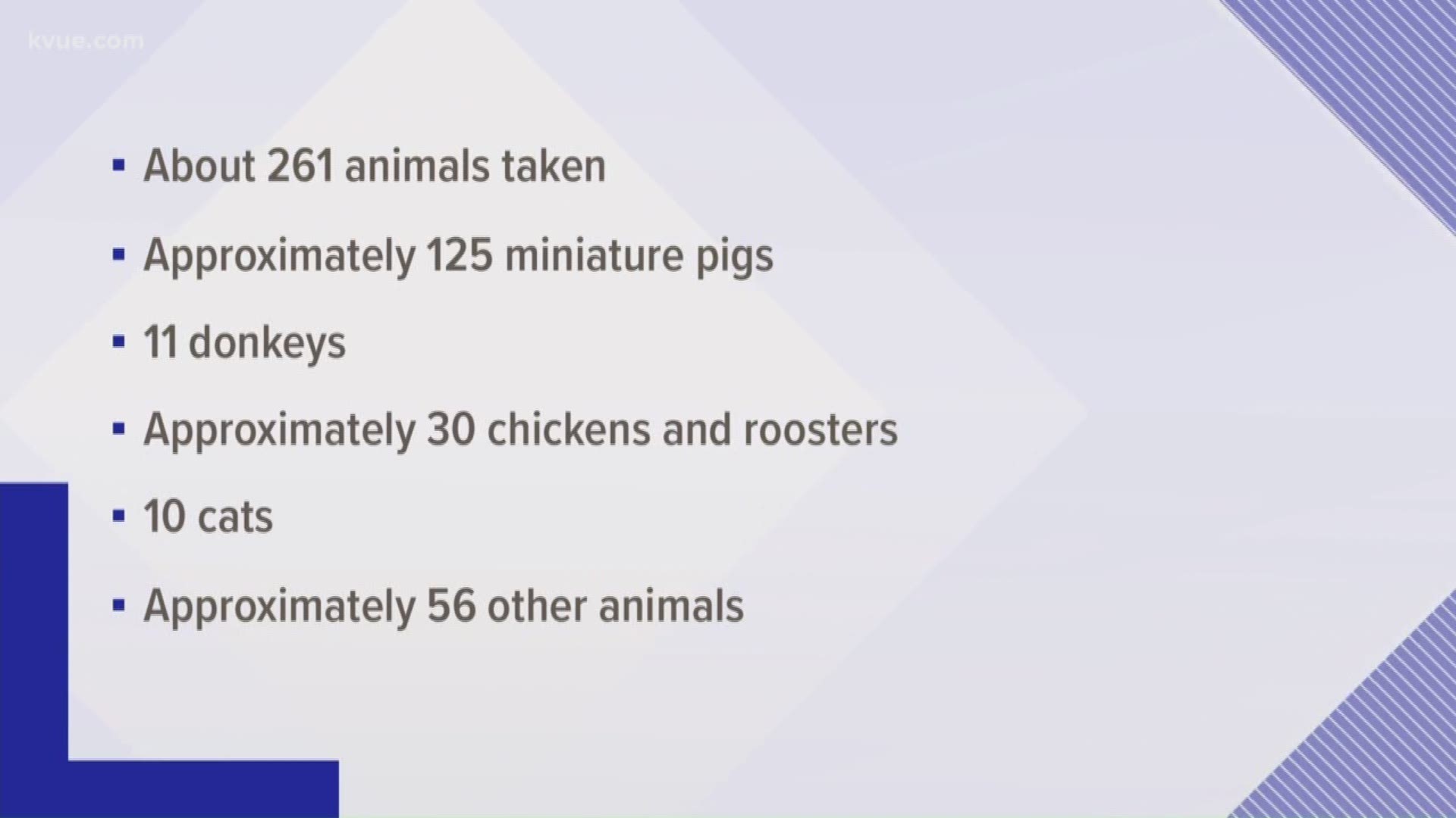 Deputies rescued more than 200 animals including miniature pigs, donkeys, barn cats, chickens and roosters, dogs, and more from a Lockhart home after conducting an investigation for animal cruelty.