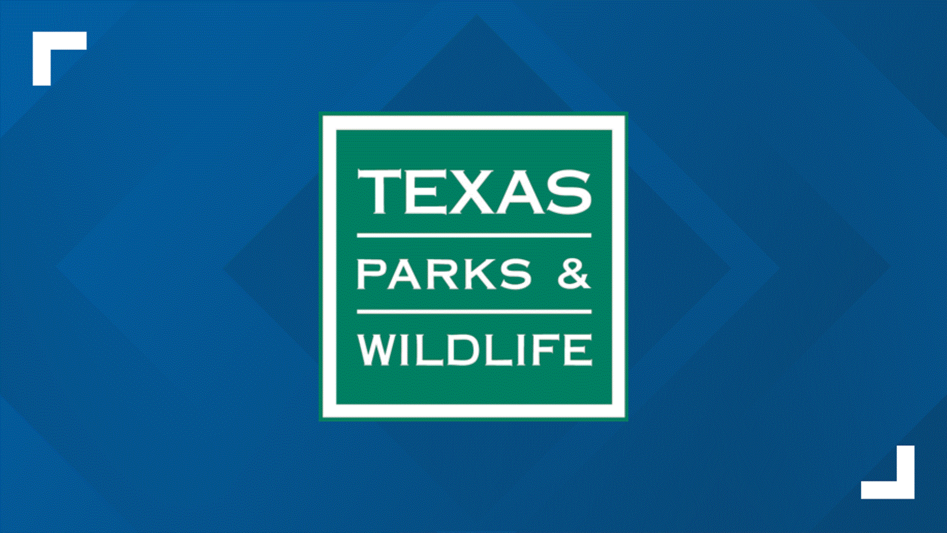 New World Screwworm detected on animal hide in Pecos County