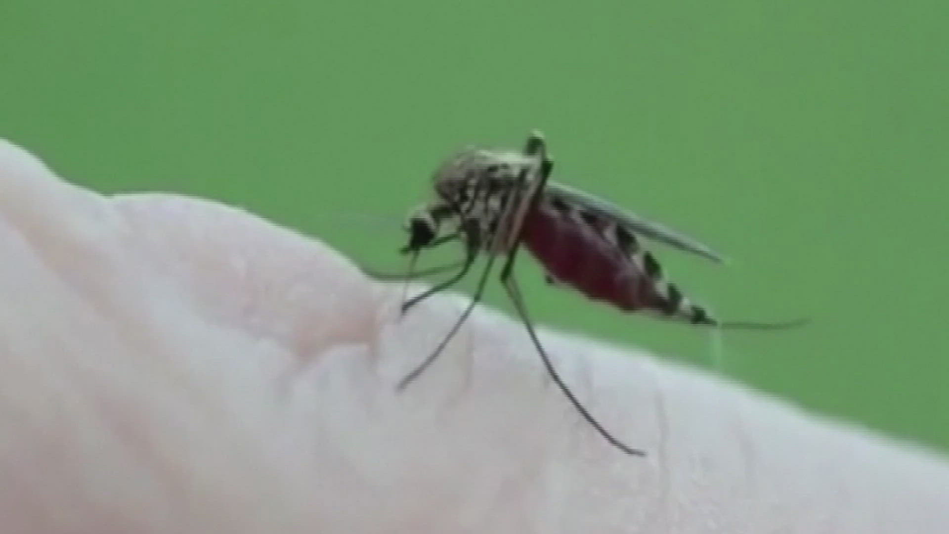 The recent mosquito pool was once again detected in the 78744 ZIP code.