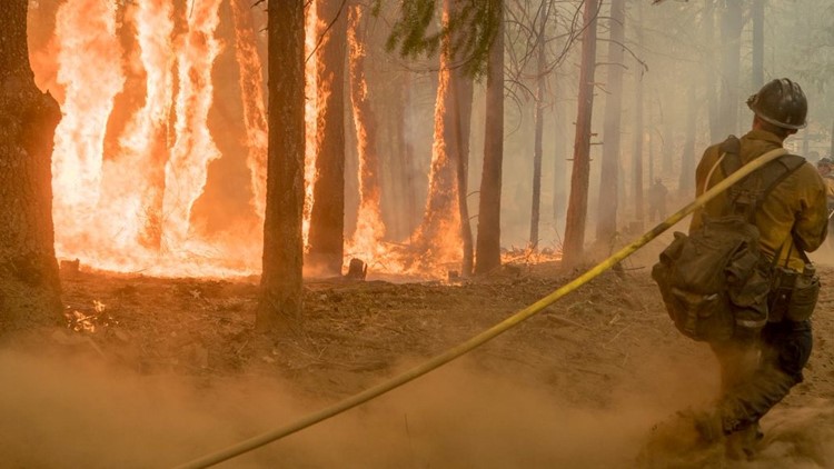 Ferguson Fire now fully contained near Yosemite National Park