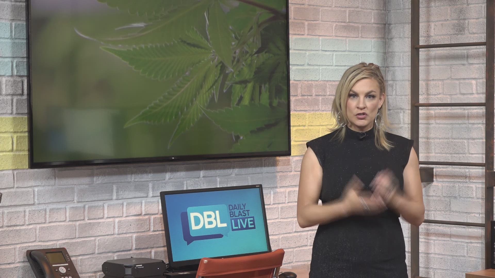 Marijuana is legalized in nine states in the U.S. and the majority of Americans think marijuana should be legal. As we approach the possibility of a federal decriminalization of marijuana, Daily Blast LIVE wonders: What side of the green line do you stand