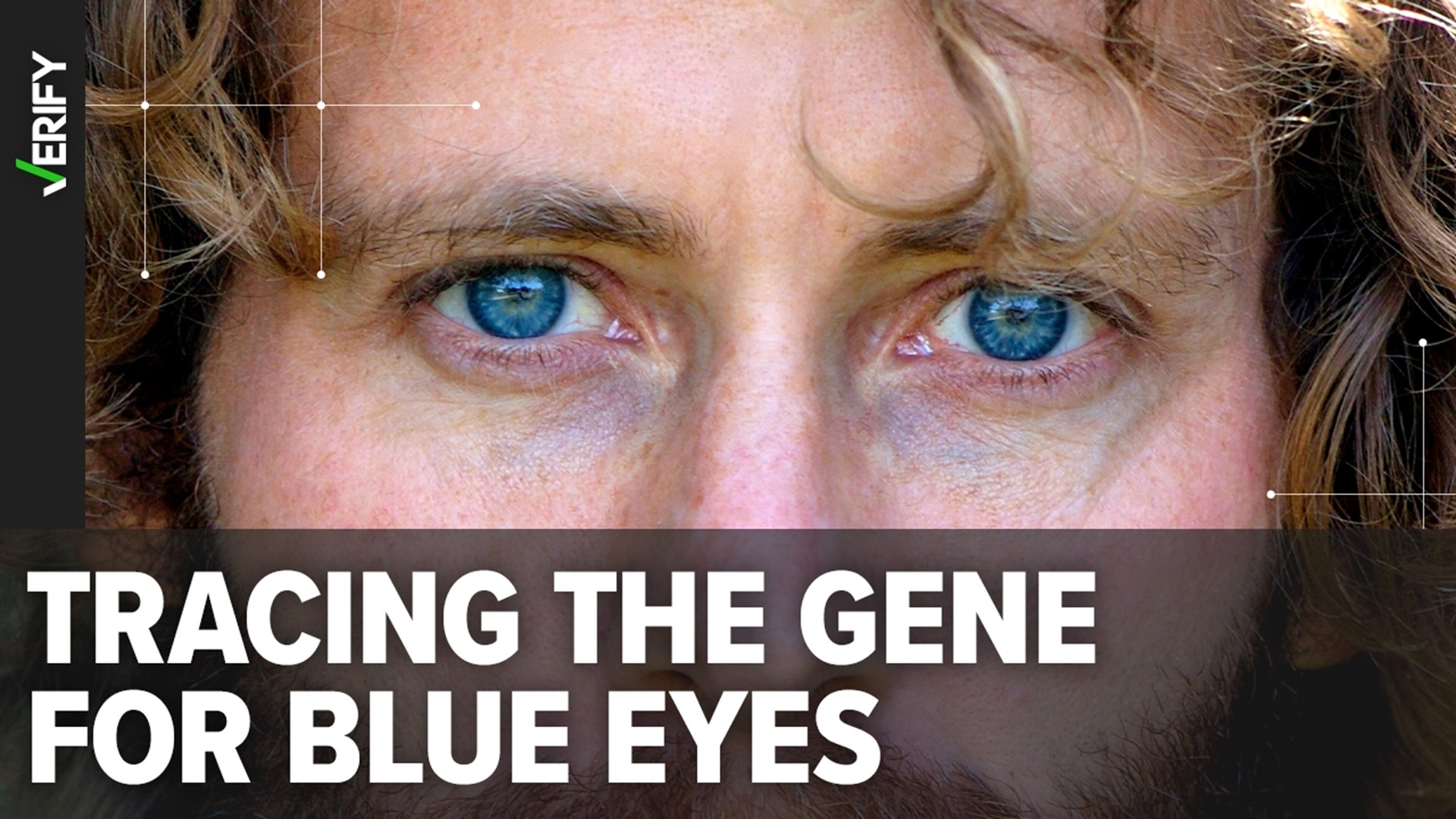 All blue-eyed people have a single genetic mutation that first occurred between 6,000 and 10,000 years ago, scientists say.