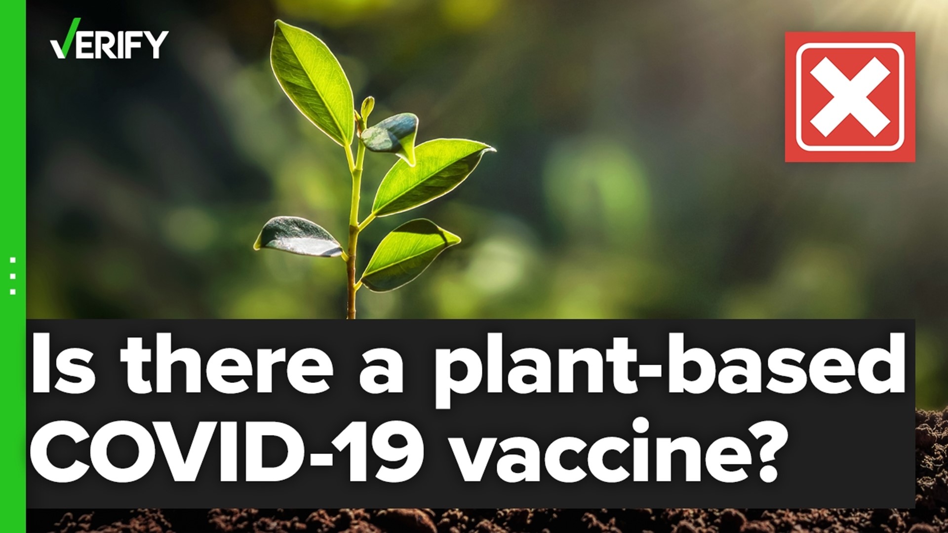 GlaxoSmithKline and Canadian biotech giant Medicago reported their plant-based vaccine hit 75% efficacy against the delta variant.