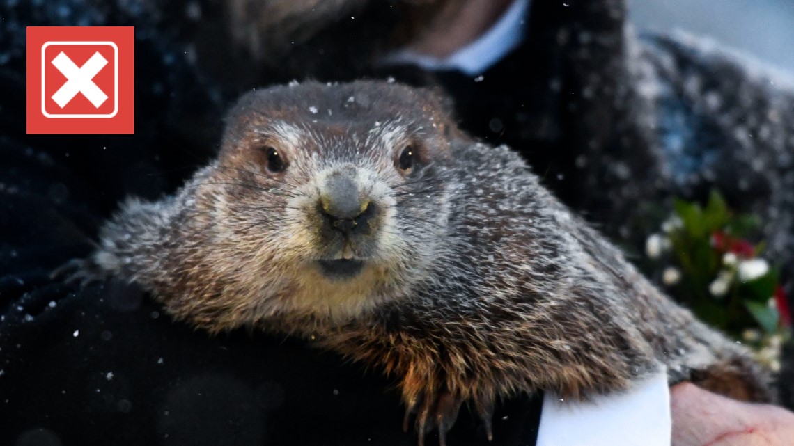 No, the weather-predicting tradition of Groundhog Day did not originate in America