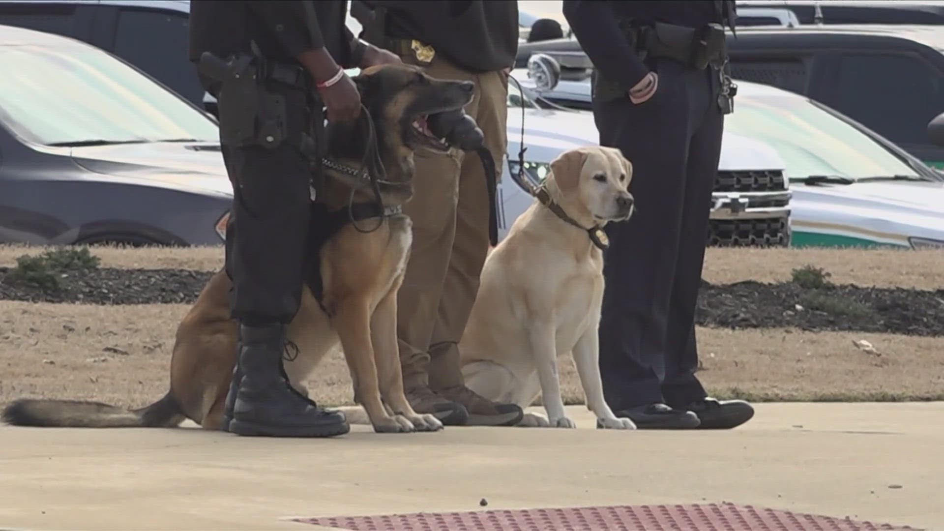 The DeSoto County Sheriff's Office held services and a funeral procession for K9 Luca on Wednesday, Feb. 28.