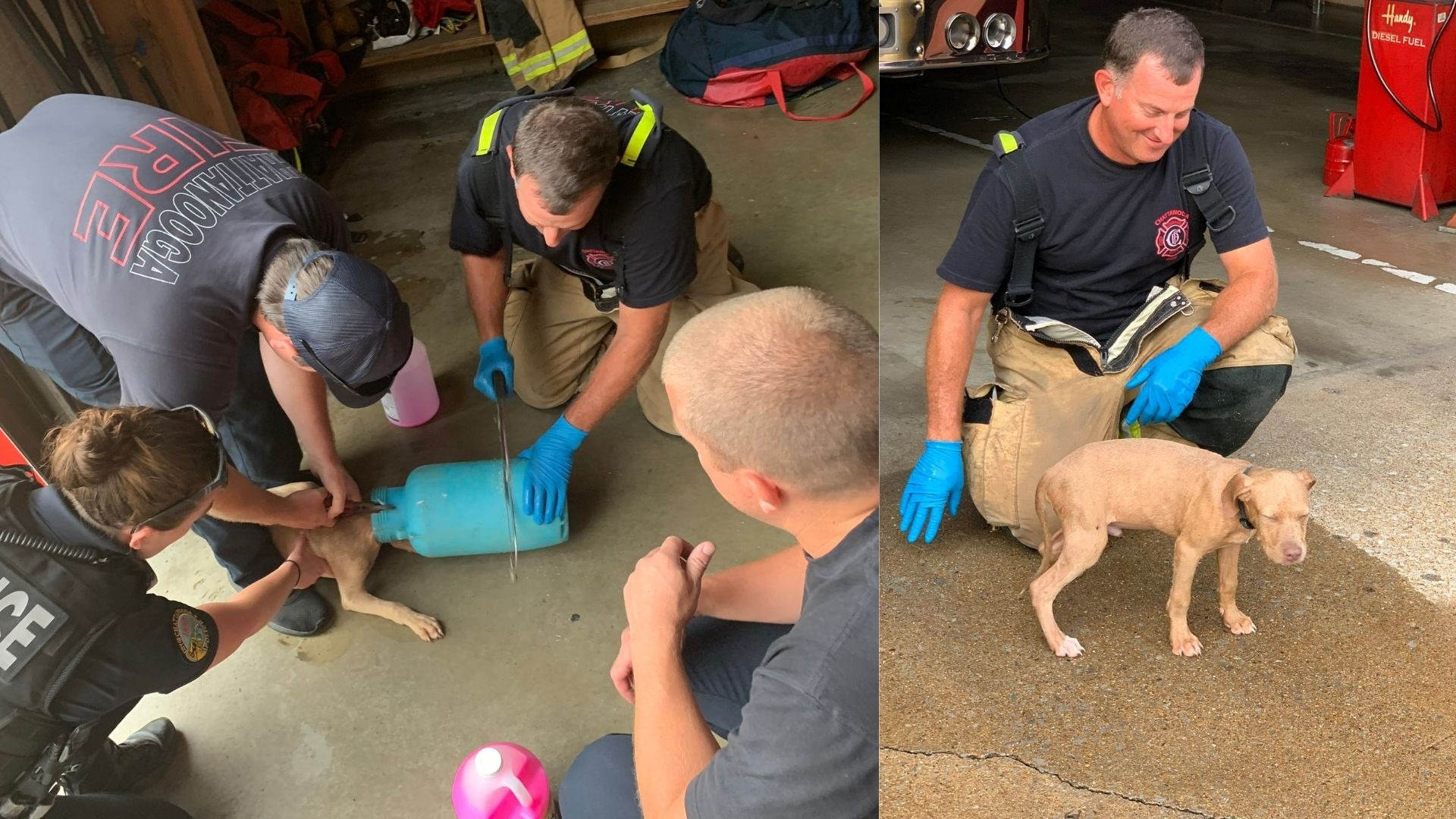 Firefighters safely rescue puppy whose head was stuck in botttle | kvue.com