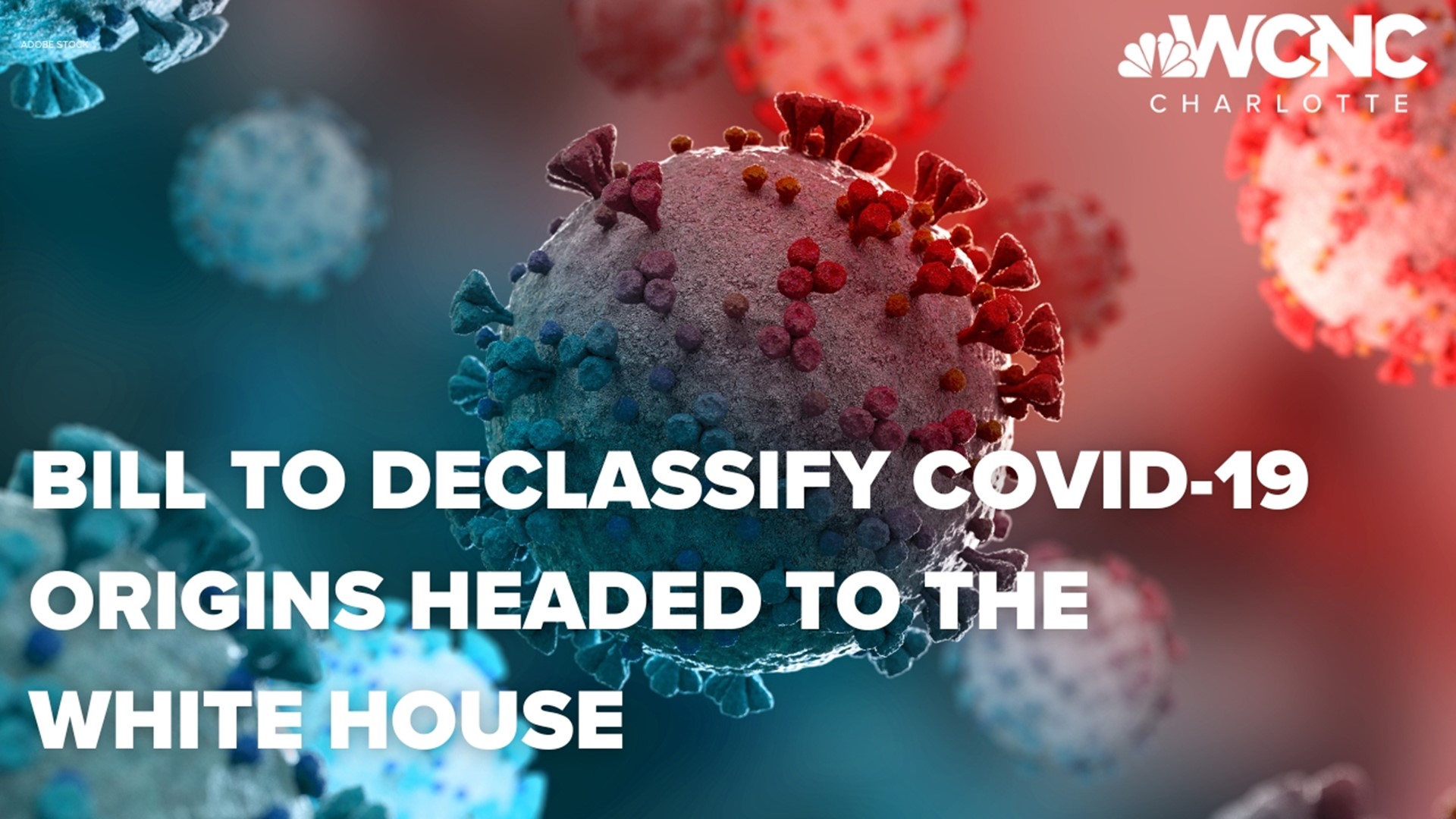 The House voted unanimously on Friday to make that information public.