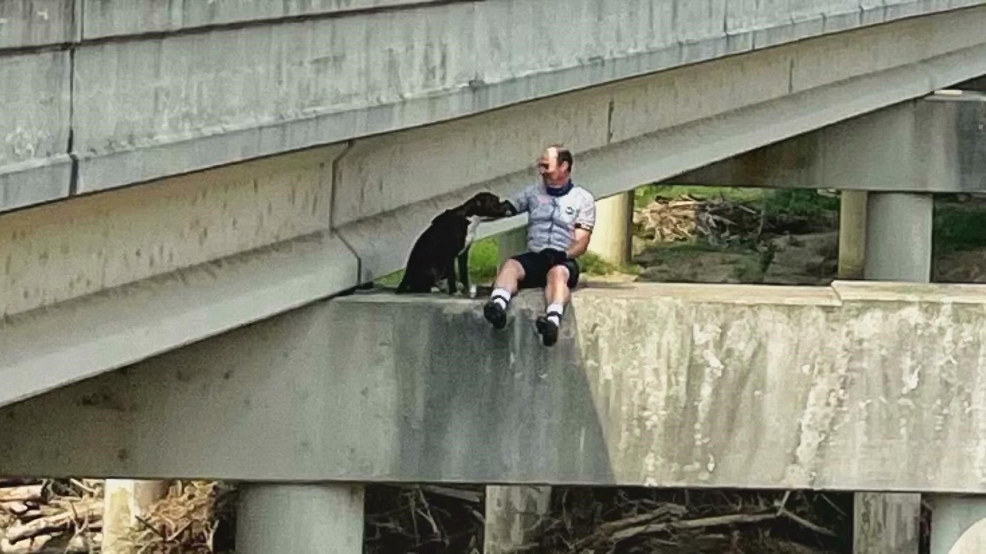 A group of cyclists from Fort Worth helped rescue a dog that was stuck on a bridge.