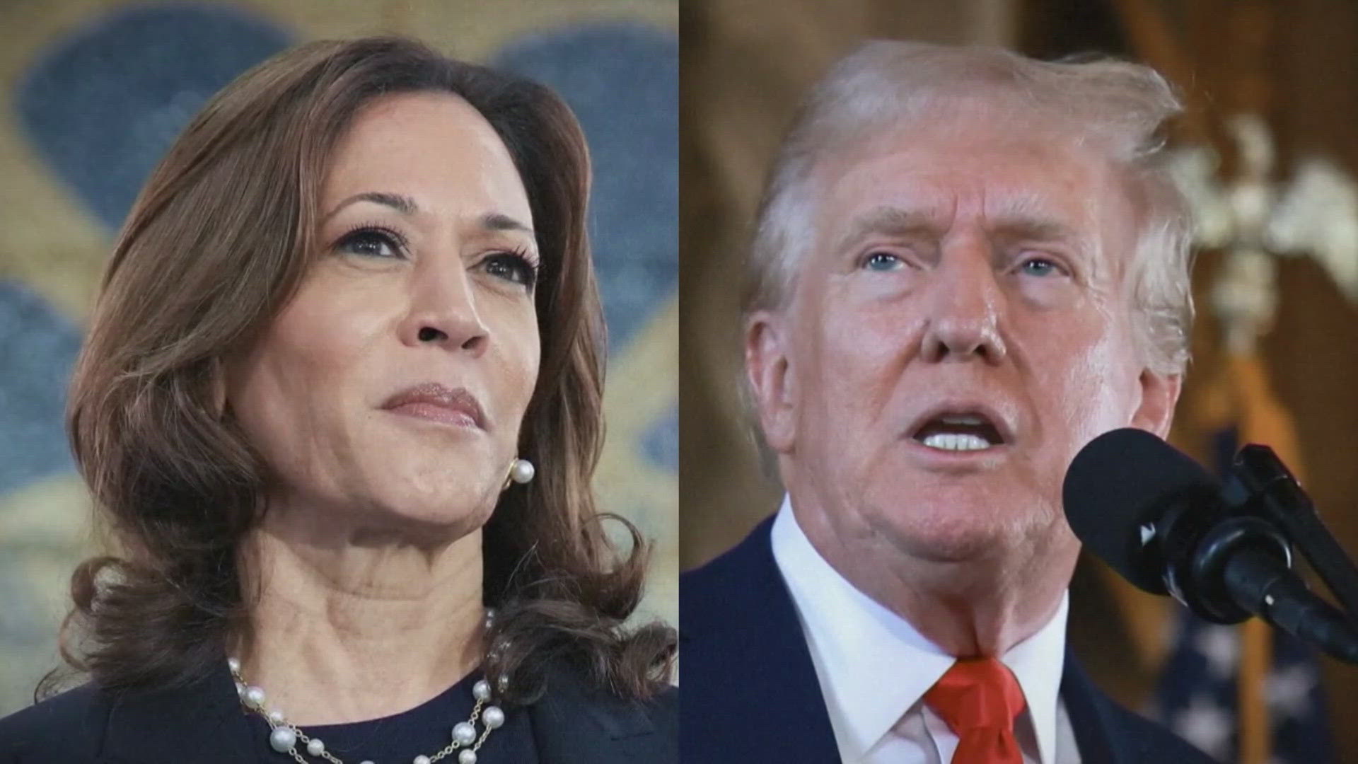 Vice President Kamala Harris is introducing her plan to create more small businesses as former President Donald Trump plans to host a town hall in Pennsylvania.