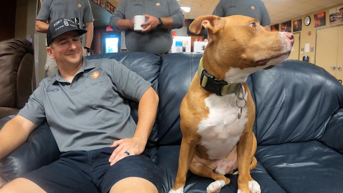 A desperate Fort Worth veteran surrendered his dog to a fire station. Now they both have a new home.