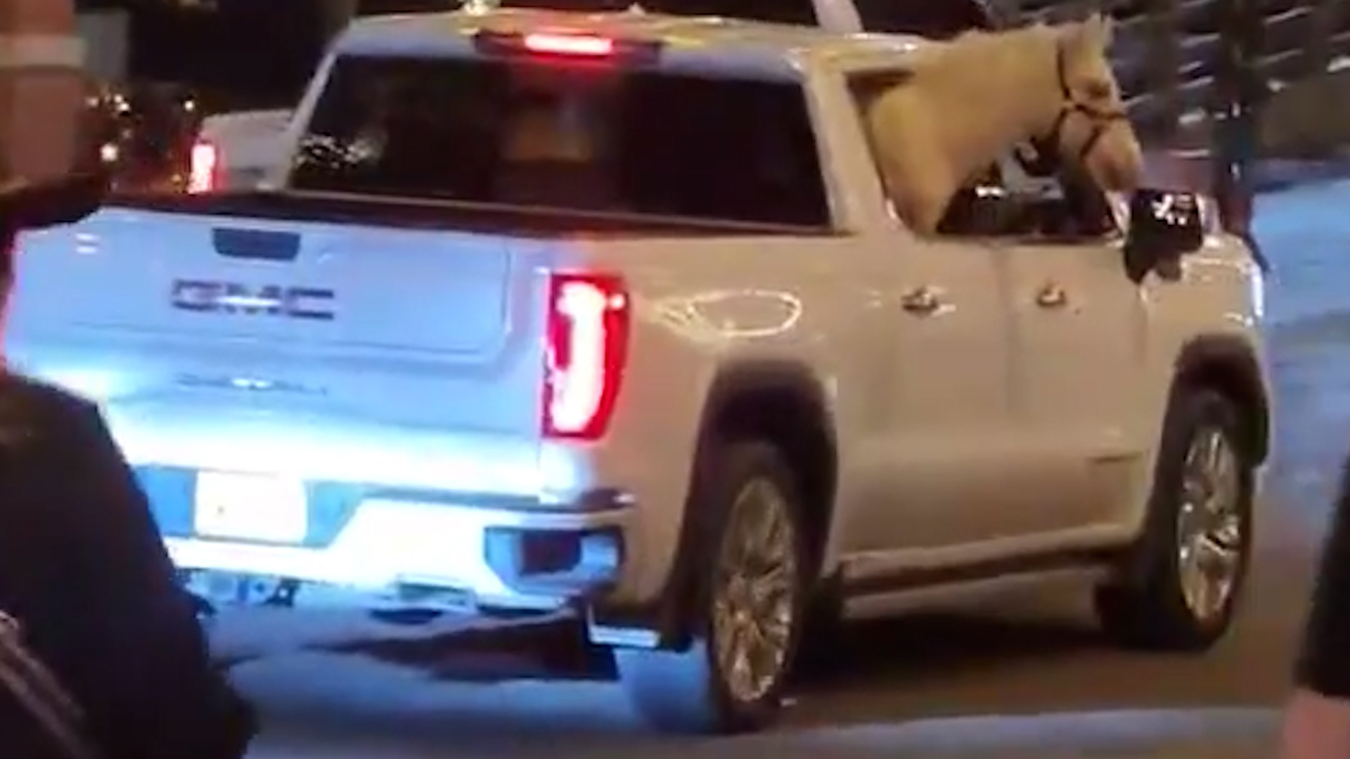 A woman captured video of a horse riding in the backseat of a truck in the Fort Worth Stockyards.