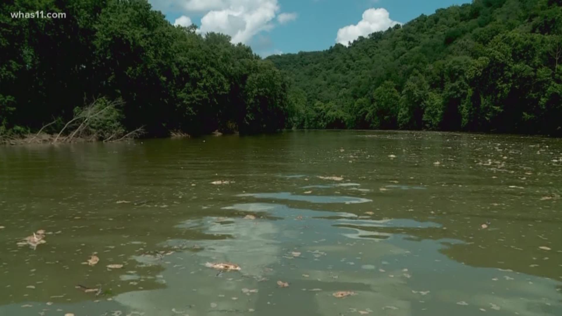 Officials are using a process called aeration to help keep fish alive in the rivers affected by the Jim Beam fire.