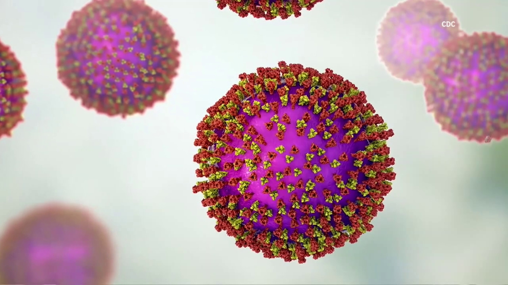 Austin Public Health officials say an unvaccinated infant was likely infected while traveling abroad.