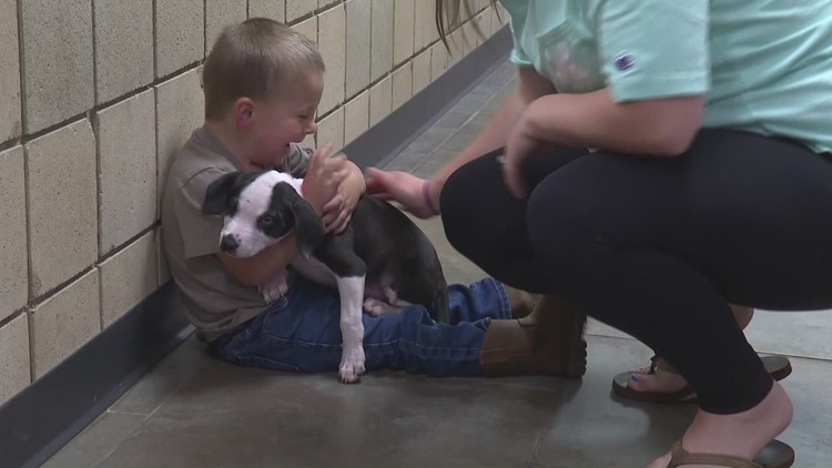 2-year-old boy finds dog that has the same birth defect as him