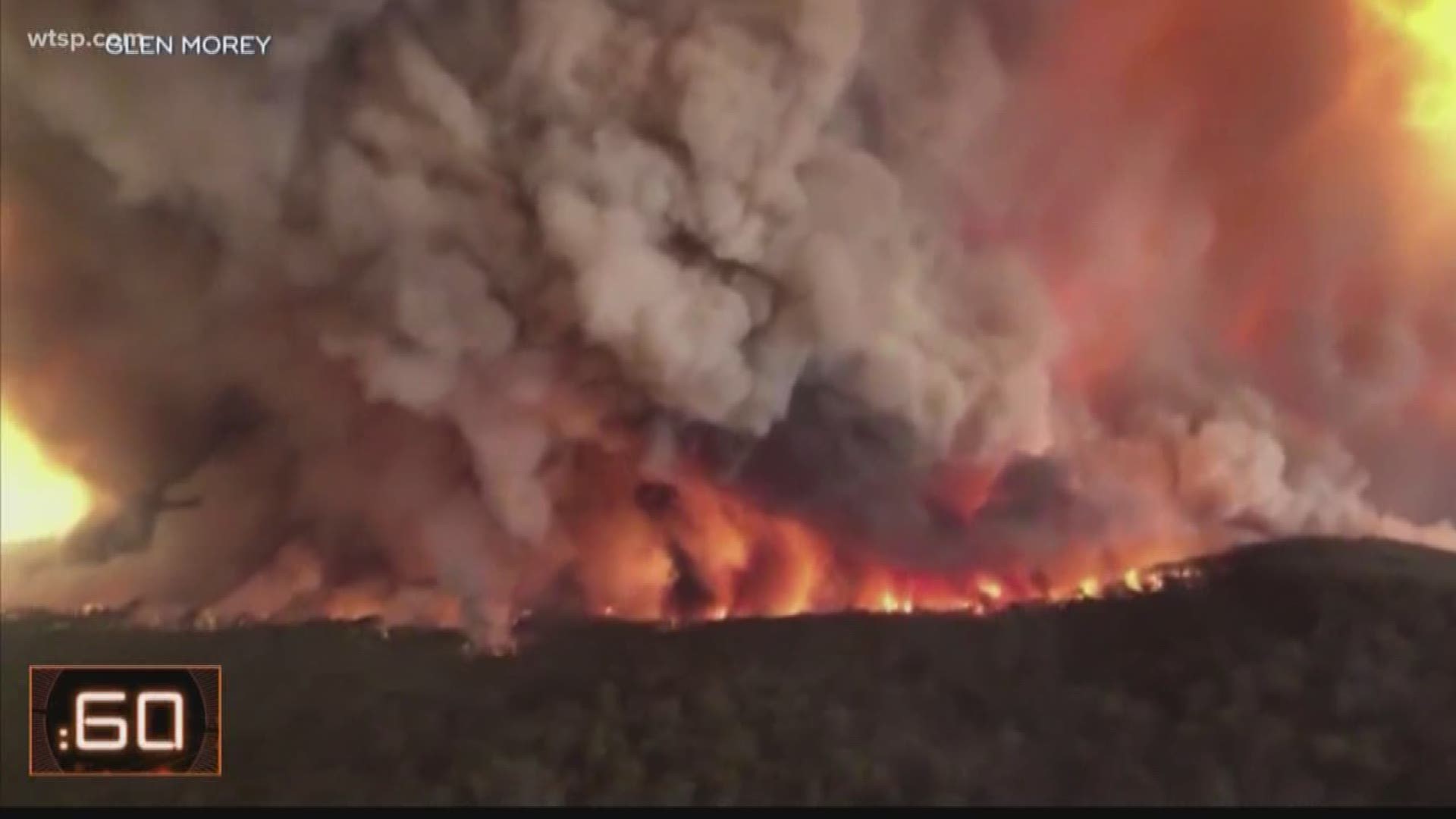 The fires in Australia are not just causing devastation locally ... impacts are felt around the world.