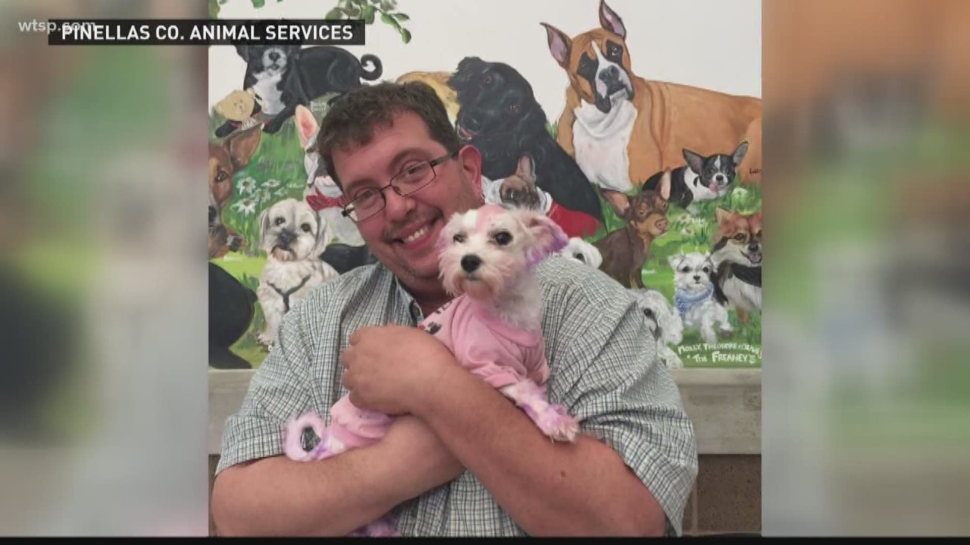 can-you-use-human-hair-dye-on-dogs