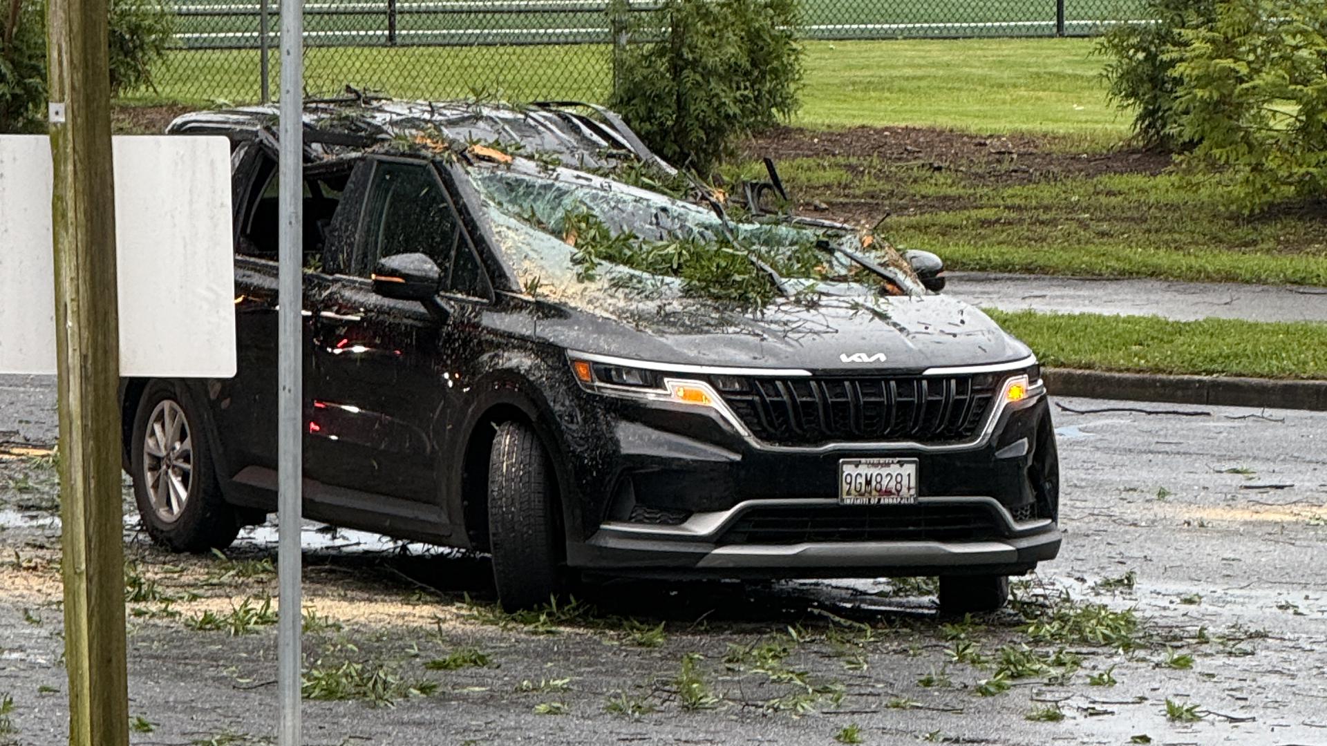 Teen helps rescue family trapped by fallen tree in storm | kvue.com