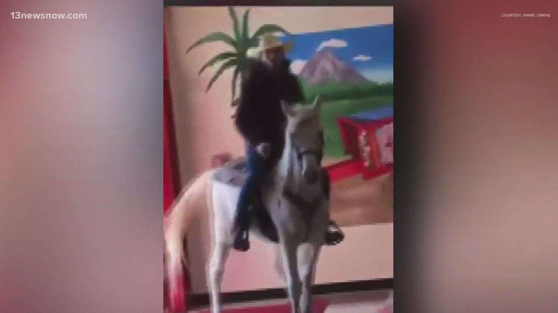 A senior at Gloucester High School rode his horse into school for a senior prank, and now he says he could be expelled.