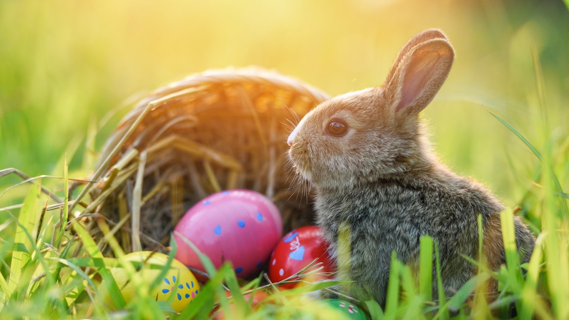 Easter egg hunts in the Austin area